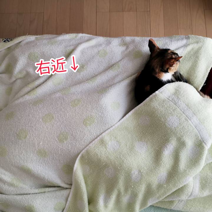 2a0202da bcc2 4bb3 bf53 691a53777271 1601022207143