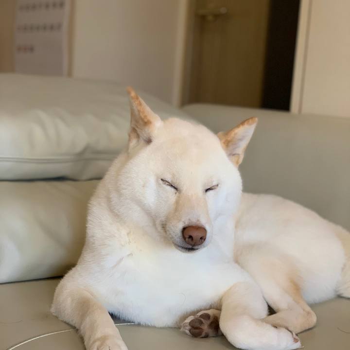 2a021645 5bef 4275 be99 b7b29e61a70f 1555208802851