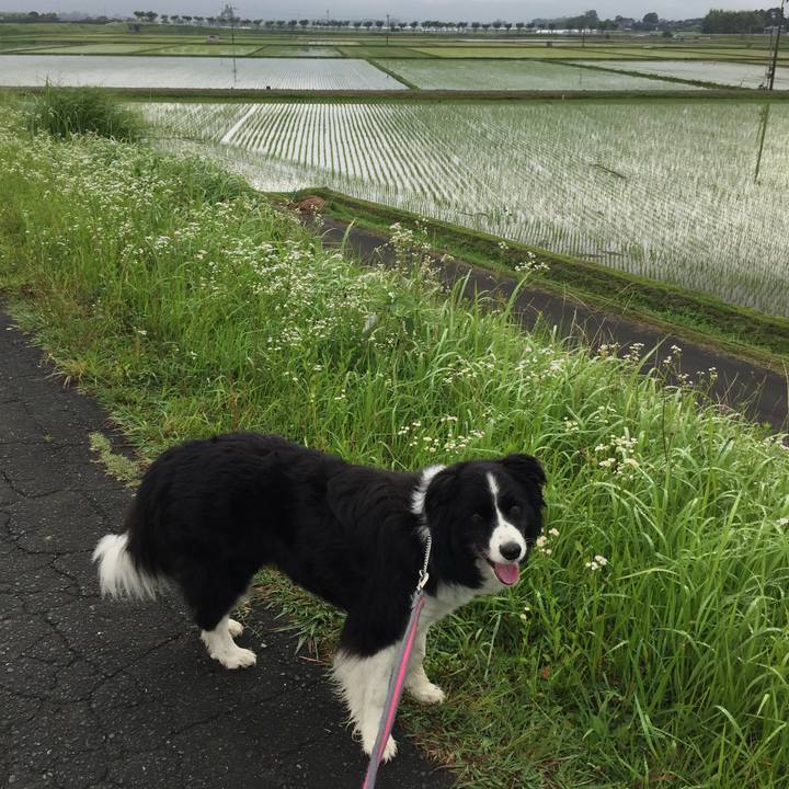 2a0256a3 ea7f 449f ae89 bf5d33cb6d88 1561678670682