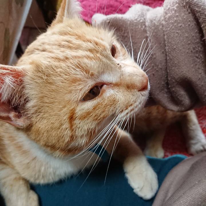 2a025dbf a9c7 4767 8638 f8f57208e39f 1555819797729