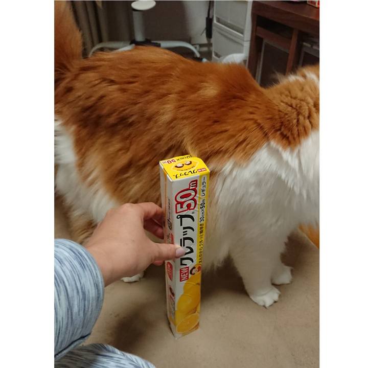 2a02754f d7ad 46ce a23a 1829eae8db5e 1585446950589