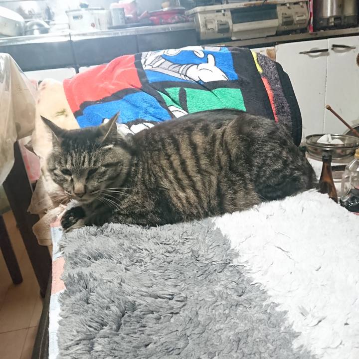 2a02c673 1245 43ea a4f7 53c01c1c6ee8 1652910345884