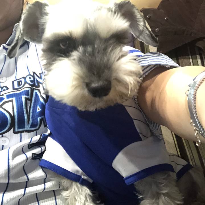 2a0304a5 d5e0 4f87 8741 57bd4f07fa49 1523360852426