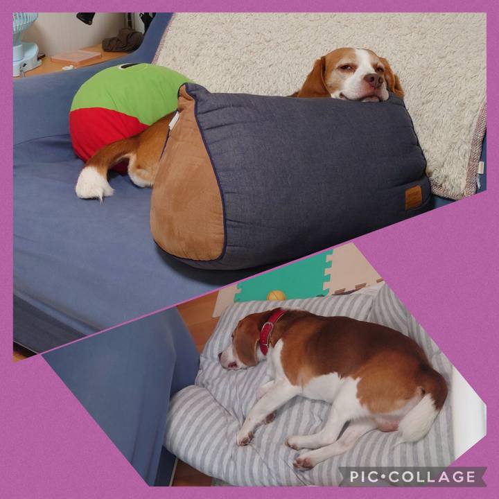 2a035325 887b 4f57 a16e 37c402fa52cd 1690848701889