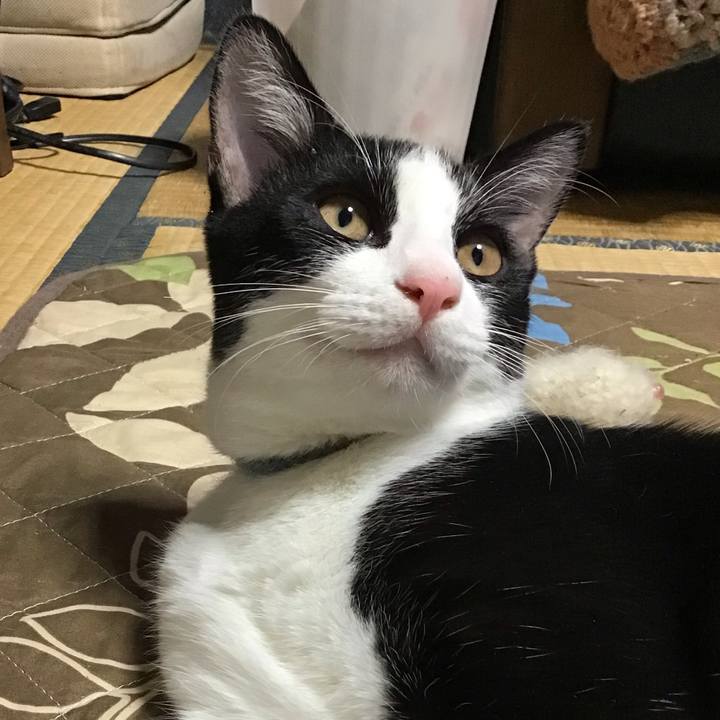 2a0370dd 9655 4e5b bed9 e8c06aef66ab 1633859329507