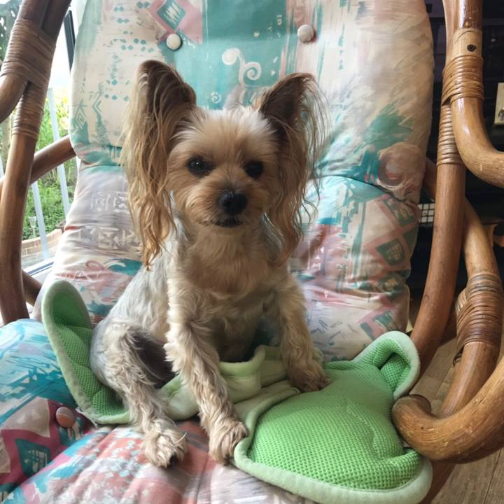 2a037b04 ab23 427b b352 cd7a9da5fd10 1567147858576