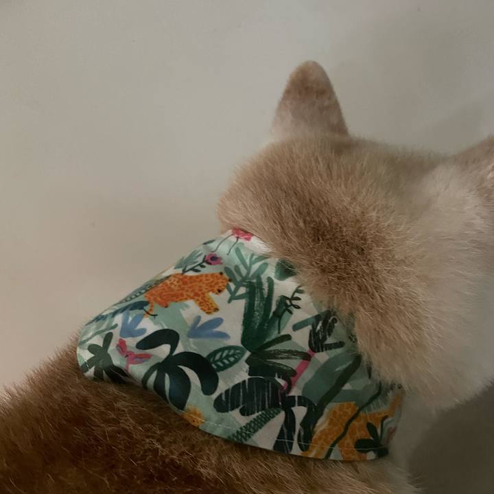 2a0384f1 041d 41a0 8cab 7ffbbd63141e 1719960759029