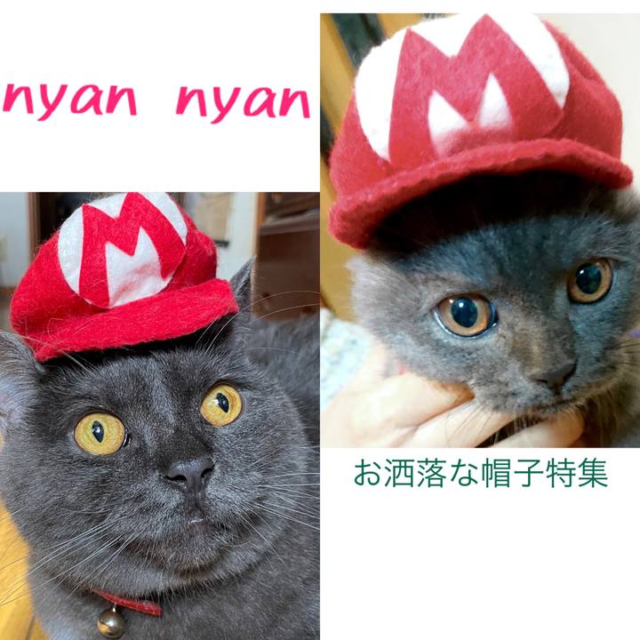 2a038d60 712e 463d a4b0 e92d81851d8d 1687164676202