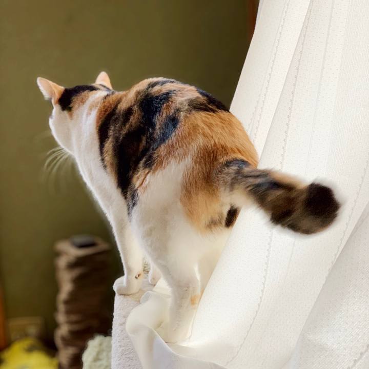 2a03abb3 6a94 4f95 af72 fd98a15067bd 1545615430823