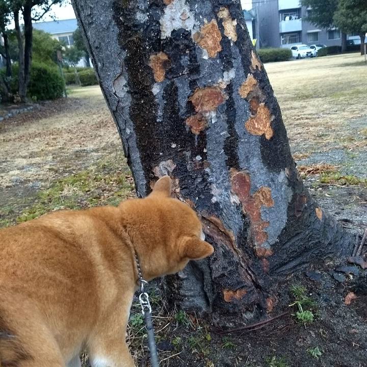 2a03b051 849c 42c7 aecb a715b72873cf 1518265364137