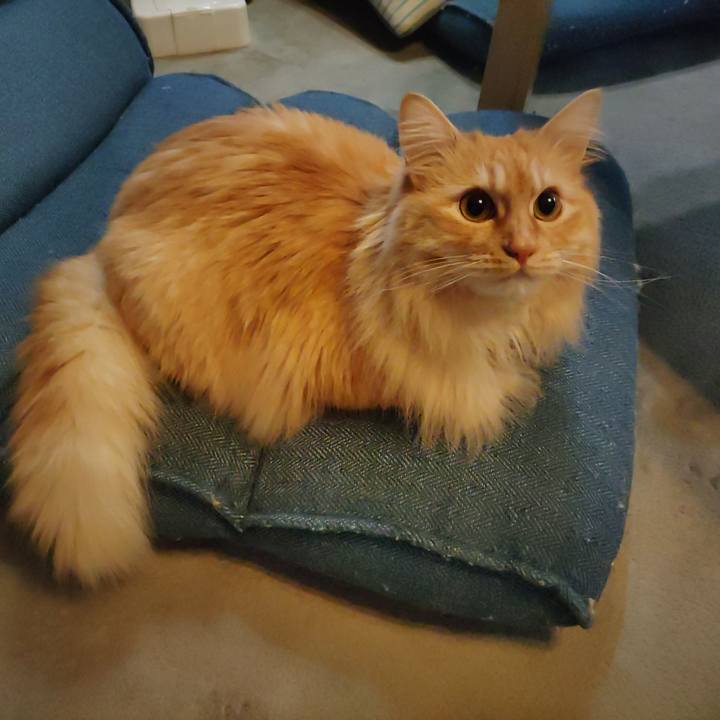 2a040ba8 5cd5 42ca 8e32 39d57a17de25 1681253691870