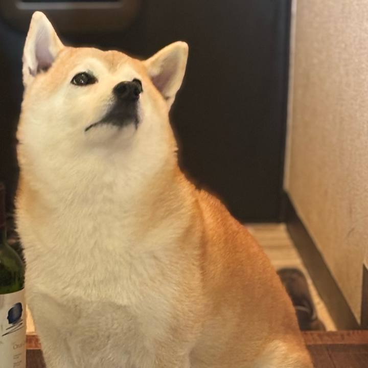 2a043aef bd2c 4a14 8114 f77c47c3aa0a 1736108507041