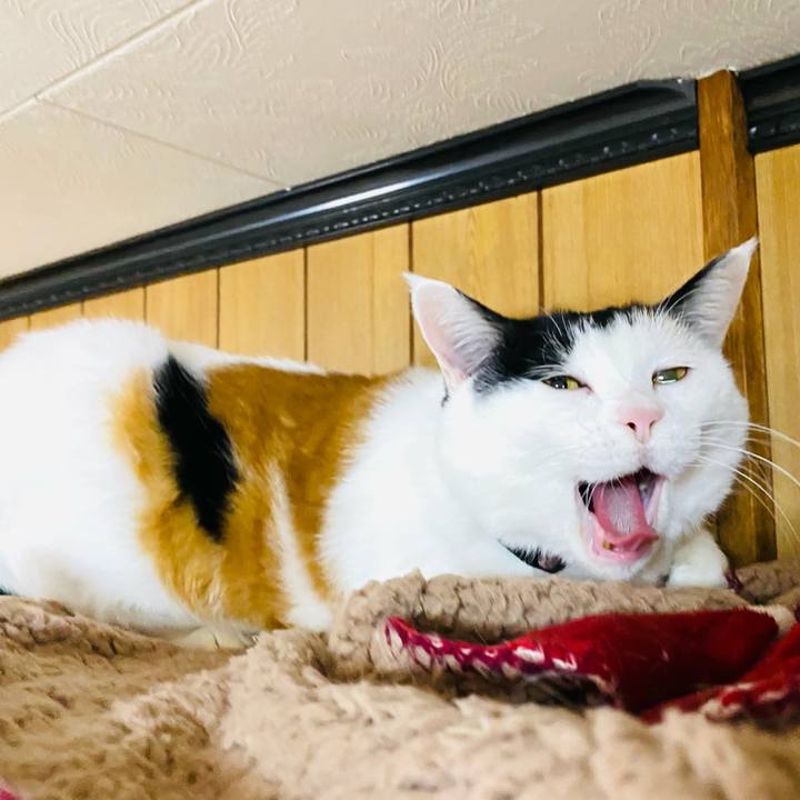 2a04699d 53b7 4f93 ae40 abc99a21c633 1700831503370