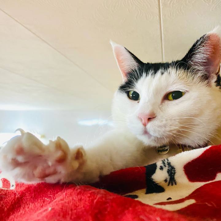 2a049dc4 52ad 4474 b2d1 820b199345a4 1706625411206