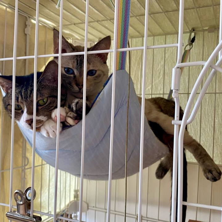 2a04d16a 2787 46b5 8679 bddaebbbf8c4 1750571854168