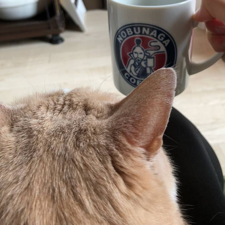 2a04e0a8 beac 40d9 9251 a3ebcc3b277b 1520118870561