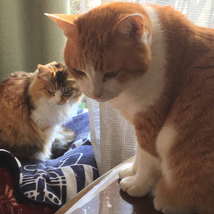 2a04eb28 de0a 47ff 8740 f770e9686fe4 1584947293293