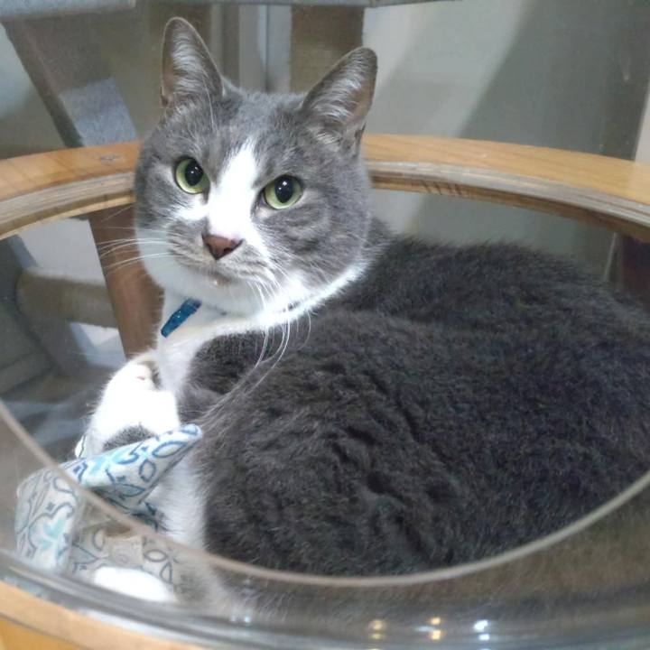 2a051cc8 7325 4204 b5c7 5cd73d933459 1774097970130