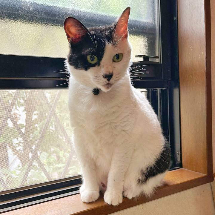 2a051f38 b821 4761 a0a8 add720436833 1756162056261