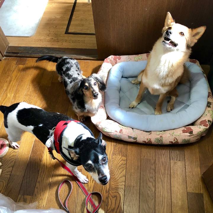 2a054603 7aa5 46f1 8435 e371ec3b6412 1562467309239