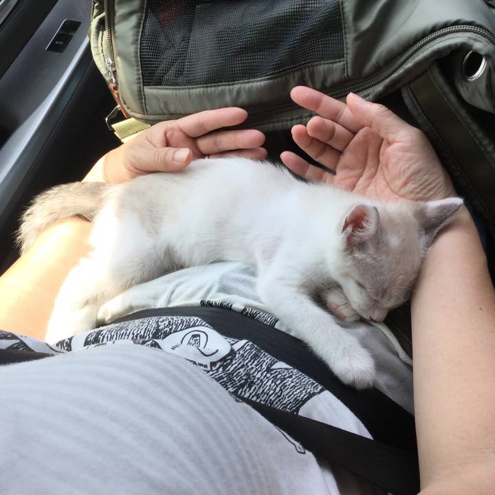 2a056419 ad8d 45b6 aa29 3c4a56445019 1597033688931