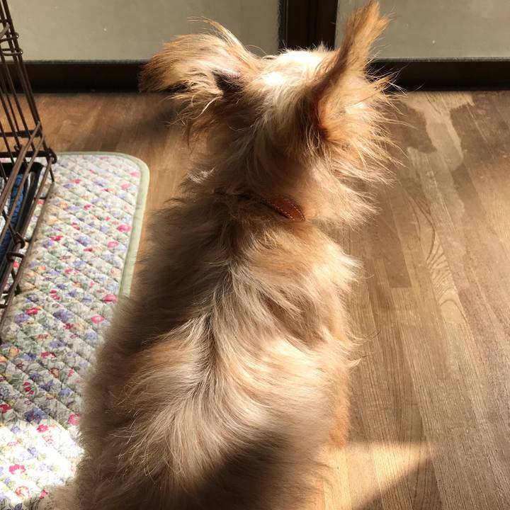 2a05f59b a04c 4165 96e5 05a69af1fa6b 1541034132939