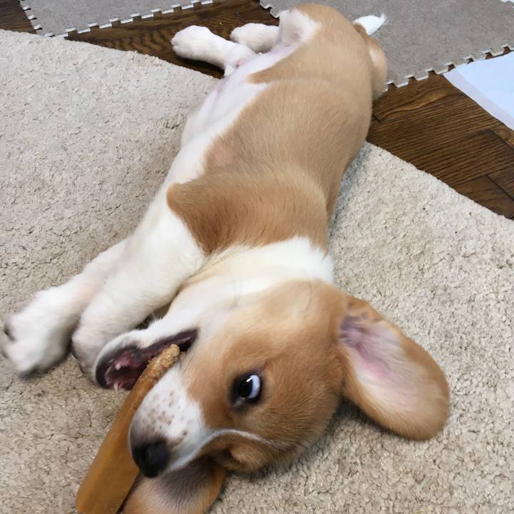 2a05fa23 1537 48c9 91eb 0ff7e57dcdf6 1590631306441