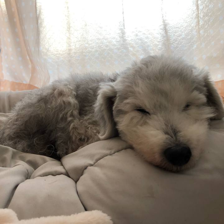 2a063ae9 59c7 41a4 b2b2 431656b6ee67 1642118423149