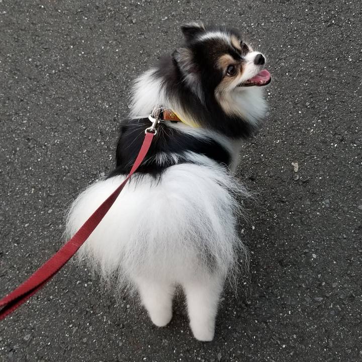 2a06574d b288 4050 8ade f5766ee44a55 1566640055473