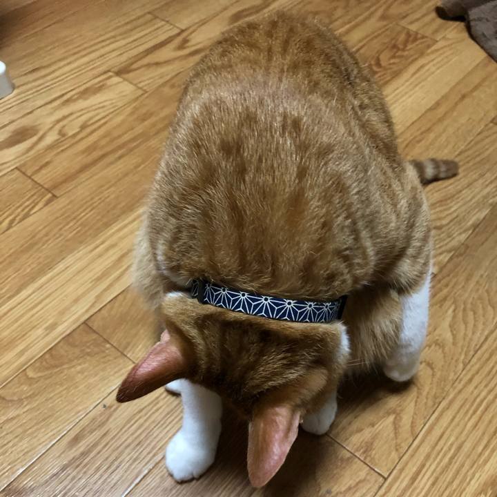 2a068942 b7f5 4ed5 ac6a 635166c14d12 1556020863551