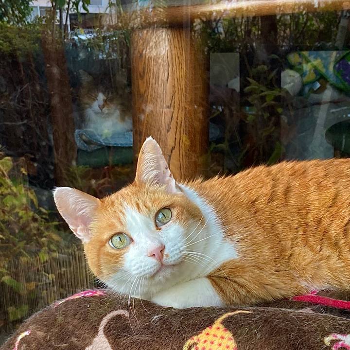 2a06aecb 9367 4185 a491 6a046560c7fc 1636271459529