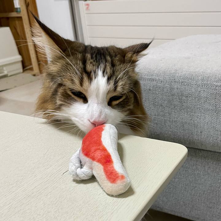 2a06c363 8ab5 4a7a 9ba3 0d950291be23 1712778704088