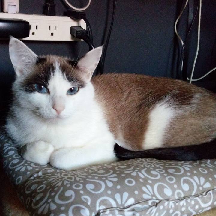 2a06cbe4 7589 4899 a6a0 550682c70234 1584257151140