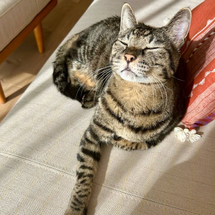 2a06f15f 8b2b 4832 82d2 4173f9129b03 1764026338687