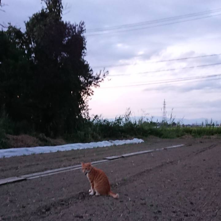 2a07060b b1d8 46ab b743 ef6f2faebcde 1567762983687