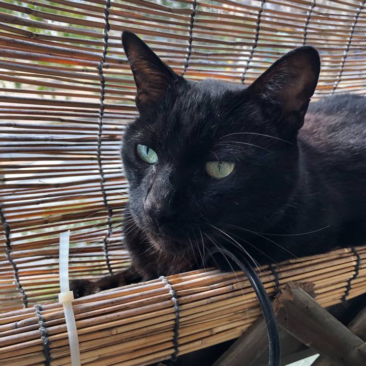 2a0720c0 ec71 4d53 8998 59df50d73808 1610595900891