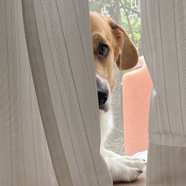 2a07356b 6976 43e1 aafd 718216c5e591 1759544159251