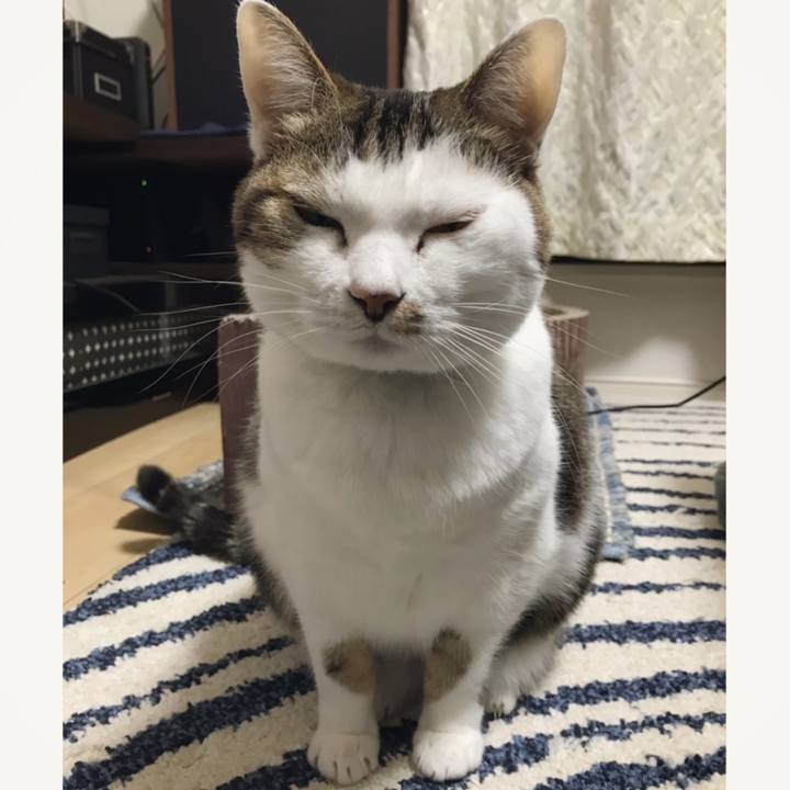 2a0743f2 57a3 4107 8b0e 567af3517728 1548660013390