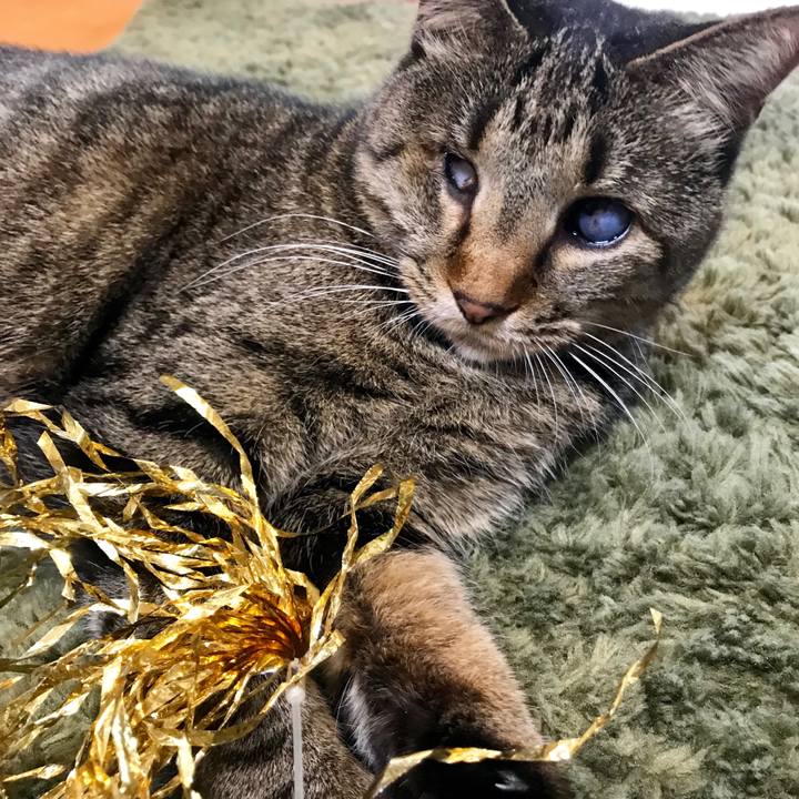 2a076bf4 c0f5 45d8 8648 449a6a98e778 1553831656605