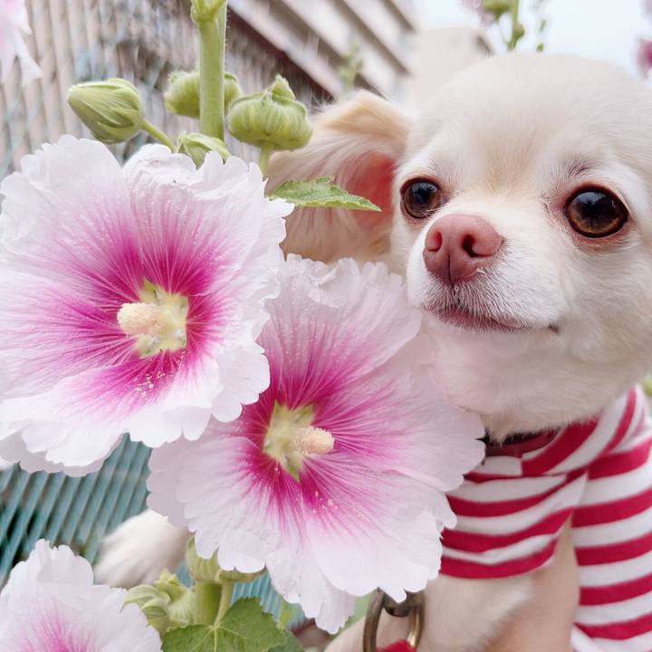 2a0783d0 15b7 4e7c adae 9d54745dceb8 1686049353398