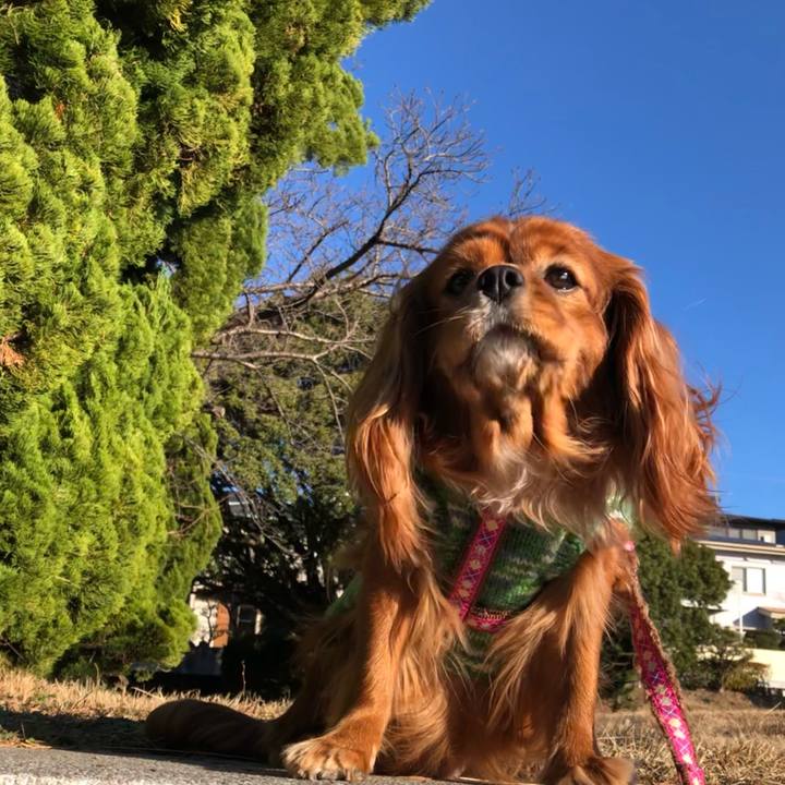 2a079244 d982 401a aa99 b93a179da31f 1639874113963