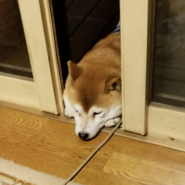 2a079fae e128 443b b514 1a8242806019 1577185636368