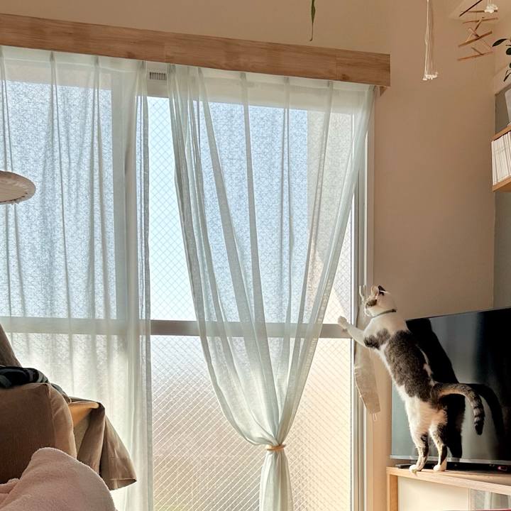 2a0819c2 a555 45f9 9731 eea0b9543cdd 1772330445594