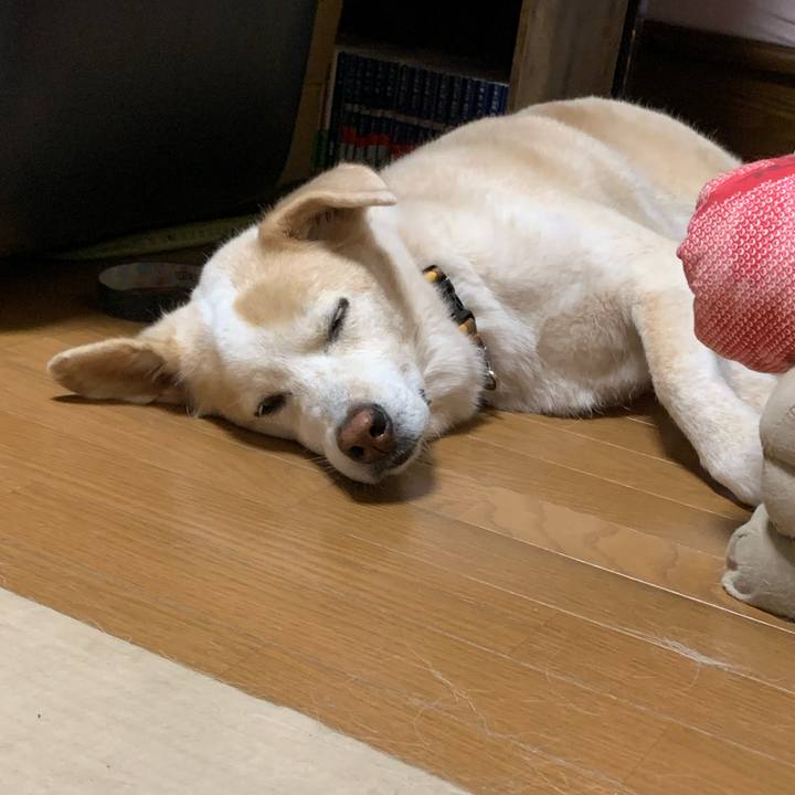 2a083004 4c0e 4534 ba07 51c5c463a9cd 1660054592347