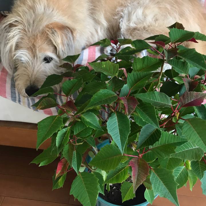 2a084897 96e6 45f4 8164 53cd050053a0 1573611489416