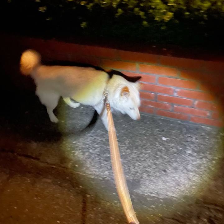 2a089607 7dfb 4ea4 953a 77aeadb23974 1634217058661