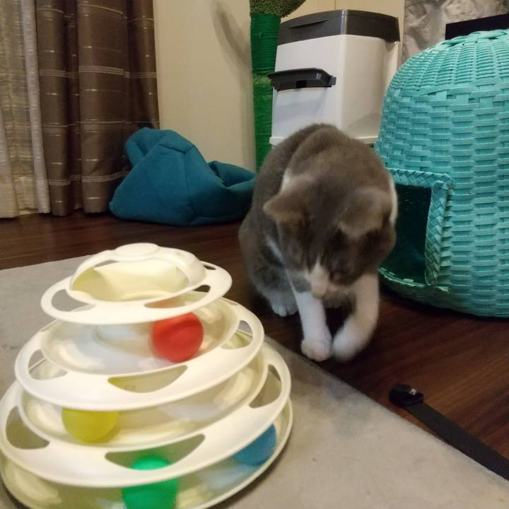 2a08a2ca ba04 4f5f 9019 cb6e0d160adc 1638920890883