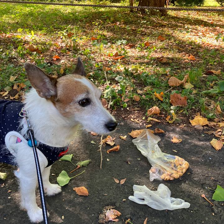 2a08aaf8 d595 4799 b4af 305774681e92 1698016642865