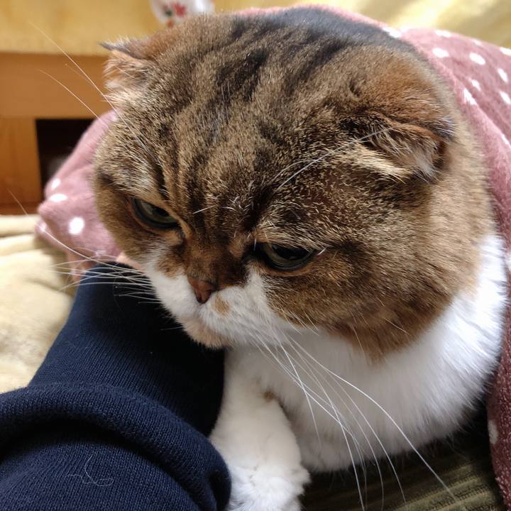 2a08cc3f e8c9 4a66 bfc7 45b27e1cc900 1549638956469