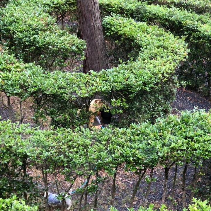 2a08e706 d7ba 45ca 80fb 0e48b03500bd 1559524702434